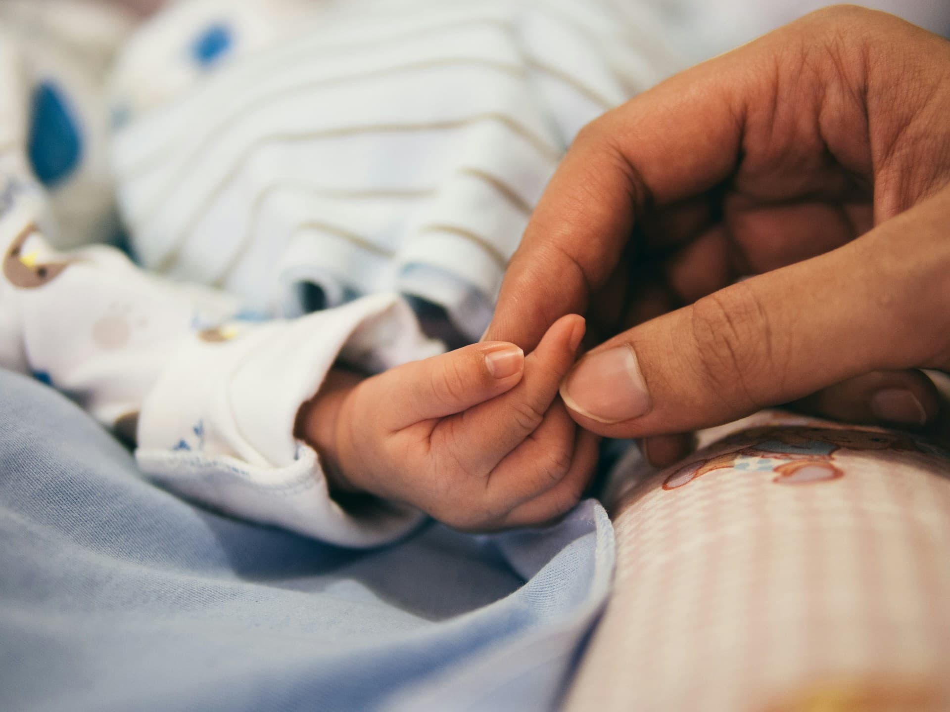 Main d'un parent tenant la main d'un bébé, symbolisant la transmission et la protection familiale